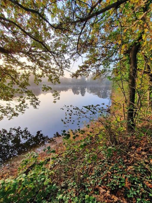 Ferienhaus Blauer See Mit Optionalem Hot-Tub Bockhorn  Eksteriør bilde